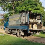 Dịch vụ vận chuyển cây cảnh miền Bắc uy tín, chất lượng, giá rẻ
