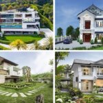 Top 10+ cây cảnh sân vườn biệt thự siêu đẹp đang được ưa chuộng